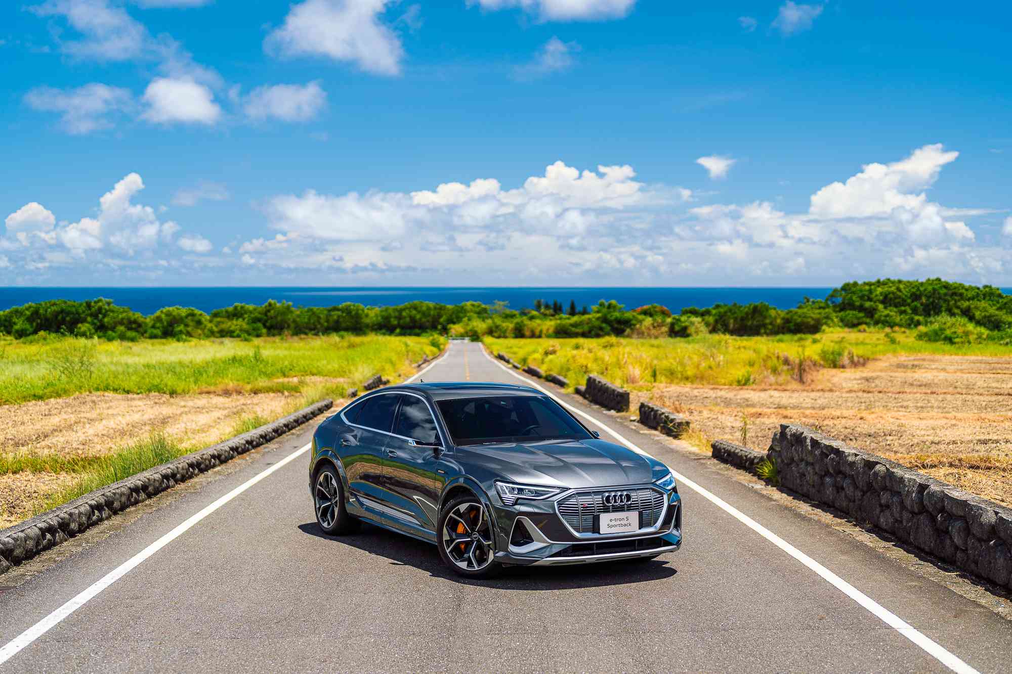 Audi 純電生活圈持續向東進化 攜手EVOASIS啟動台東Audi首座極速充電站