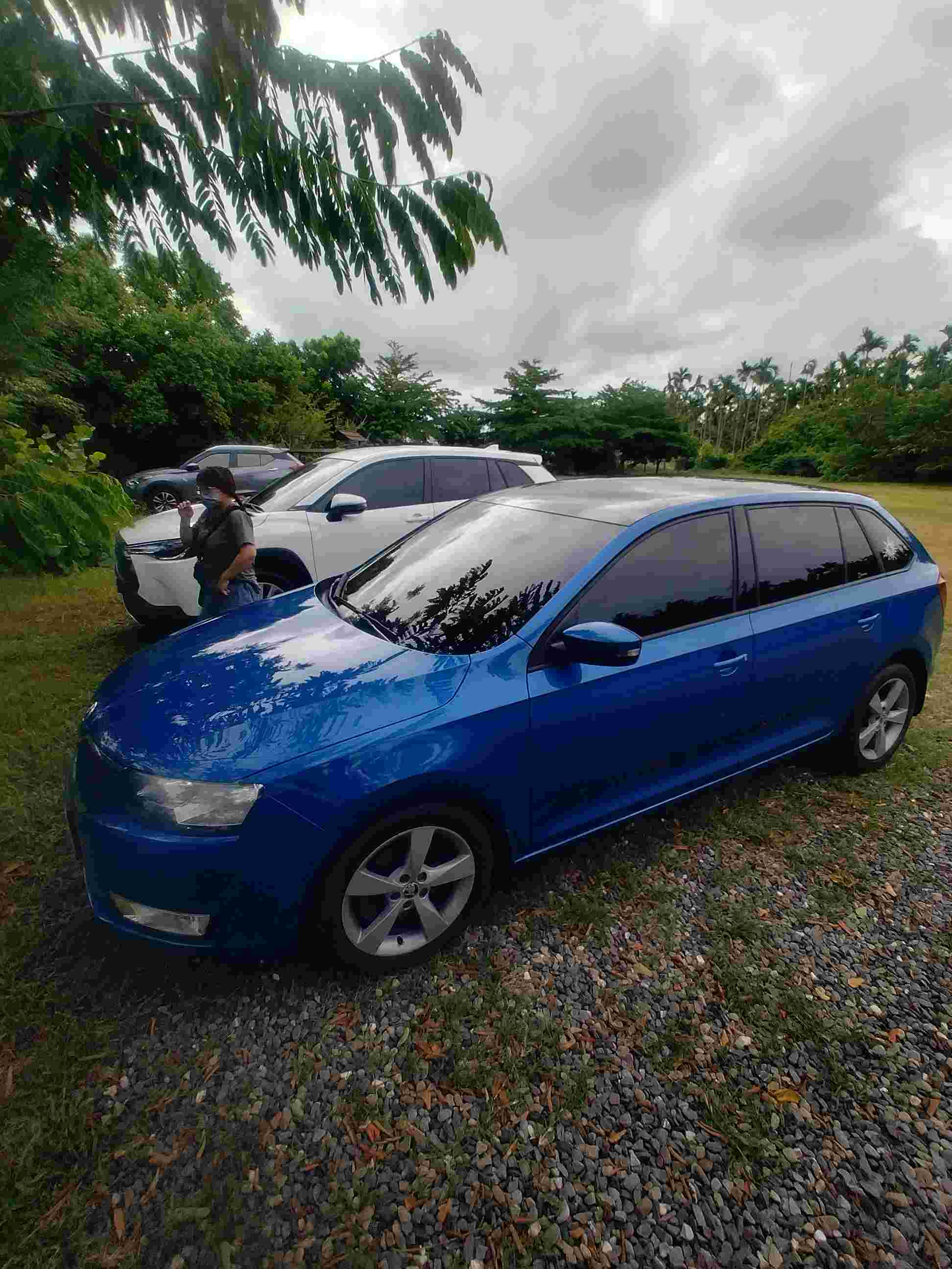 sicar profile cover
